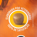 Ração Special Dog Premium Carne para Cães Adultos