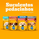 Ração Úmida Pedigree Sachê Frango ao Molho para Cães Adultos Pequenos 100g