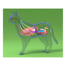 NEXGARD COMBO GATO 0,8 A 2,5KG UN