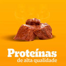 SACHE PEDIGREE ADULTOS MEDIOS E GRANDES CARNE
