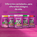 SACHE WHISKAS ADULTOS CARNE AO MOLHO