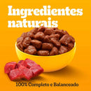 SACHE PEDIGREE ADULTOS MEDIOS E GRANDES CARNE